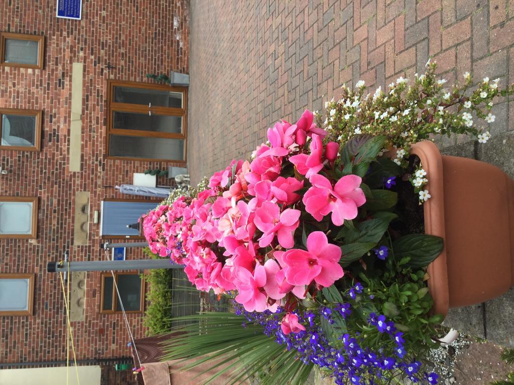 Guest house Tower House Executive